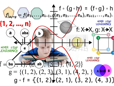 On the Domain of a Function A Foundational Inquiry into admissible Inputs
