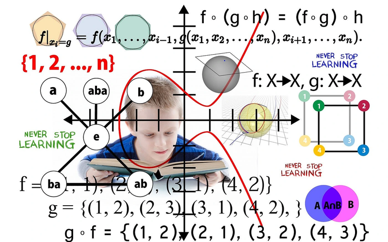 On the Domain of a Function A Foundational Inquiry into admissible Inputs