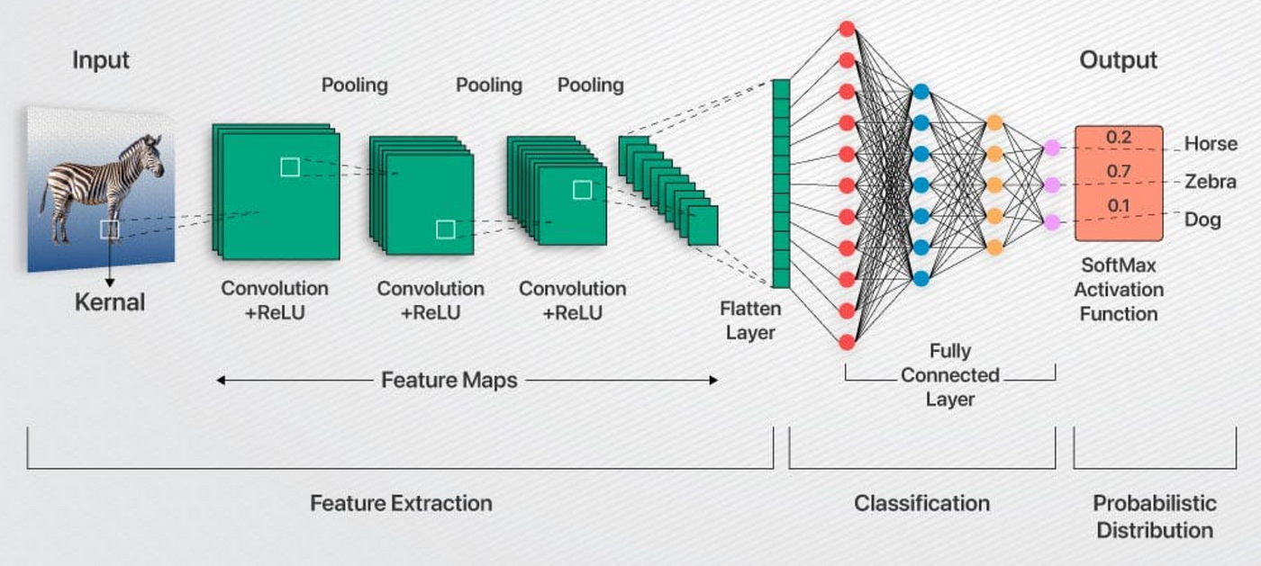 Decoding CNNs: A Beginner's Guide to Convolutional Neural Networks and their Applications | by Ravjot Singh | Medium