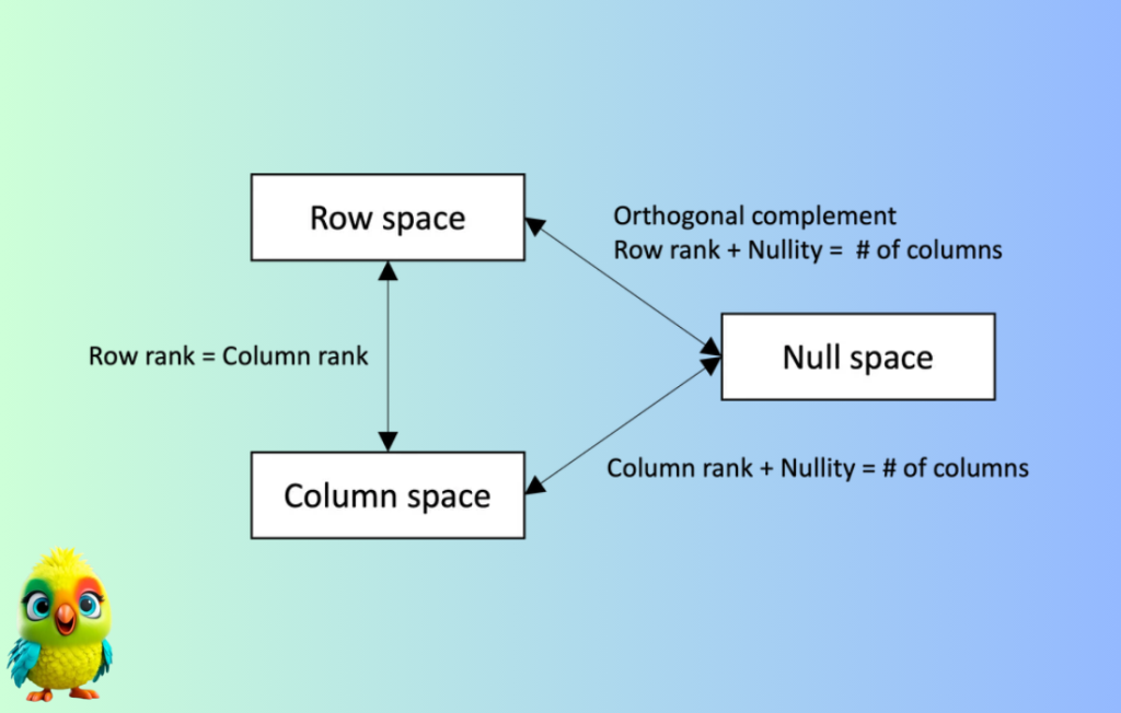 Order, Dimension, Rank, Nullity, Null space, and Column space with a single worked example